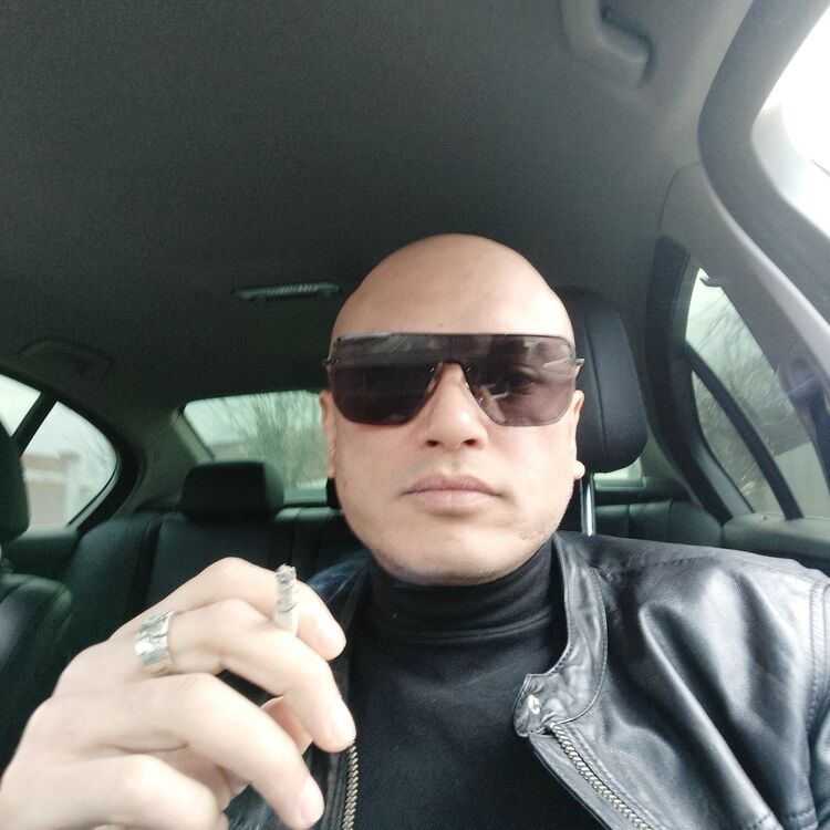  38649703  , 41 ,    