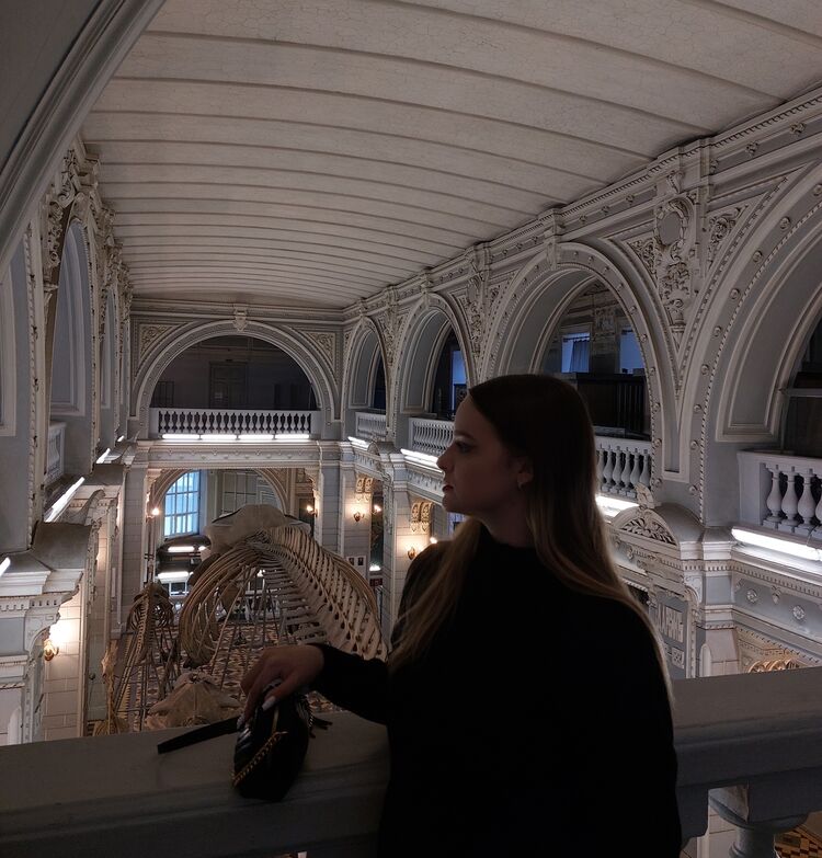 ���������� �����-���������, ���� ������� ������, 22 ����, ������������ ��� ������, ���������