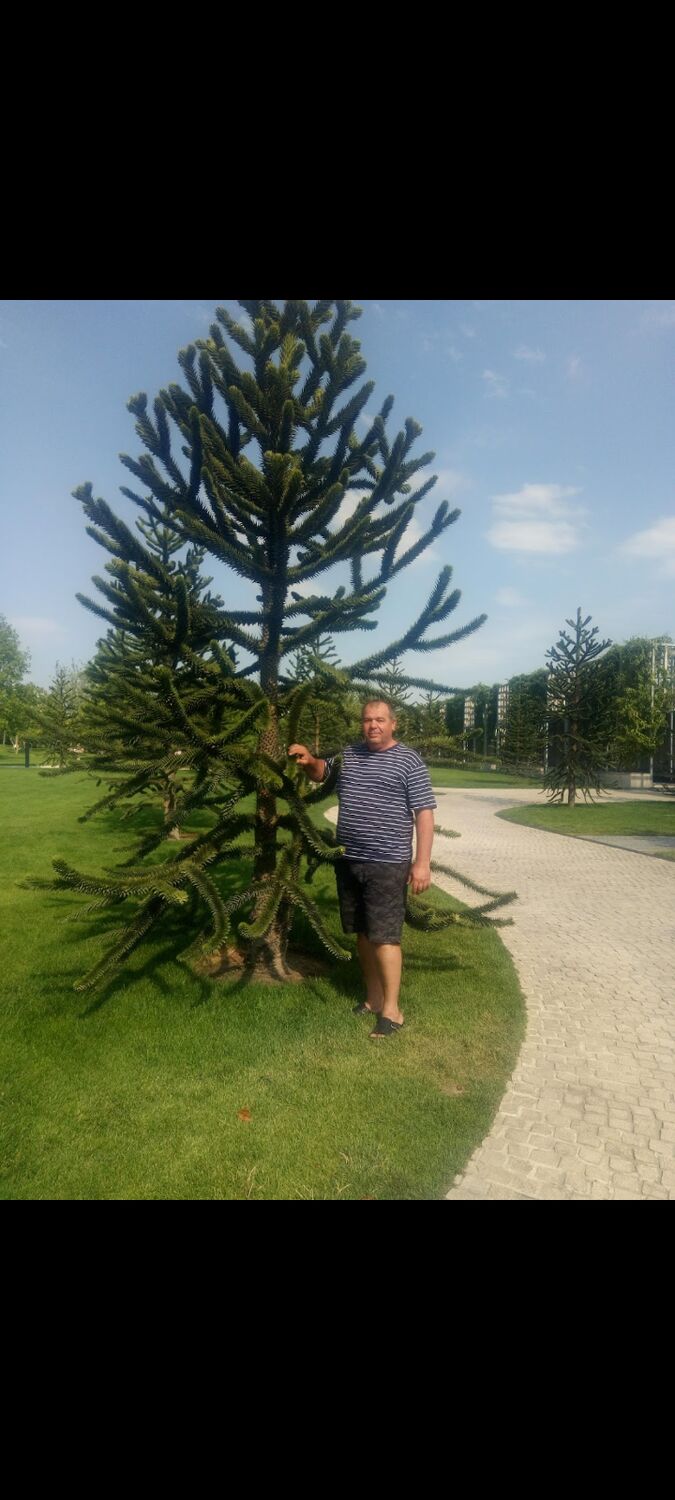  -,   , 59 ,   c 