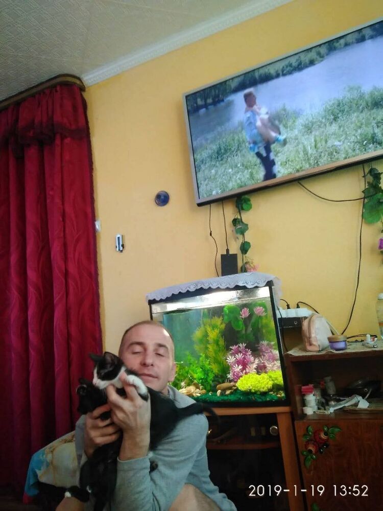  ,   , 48 ,     , c 