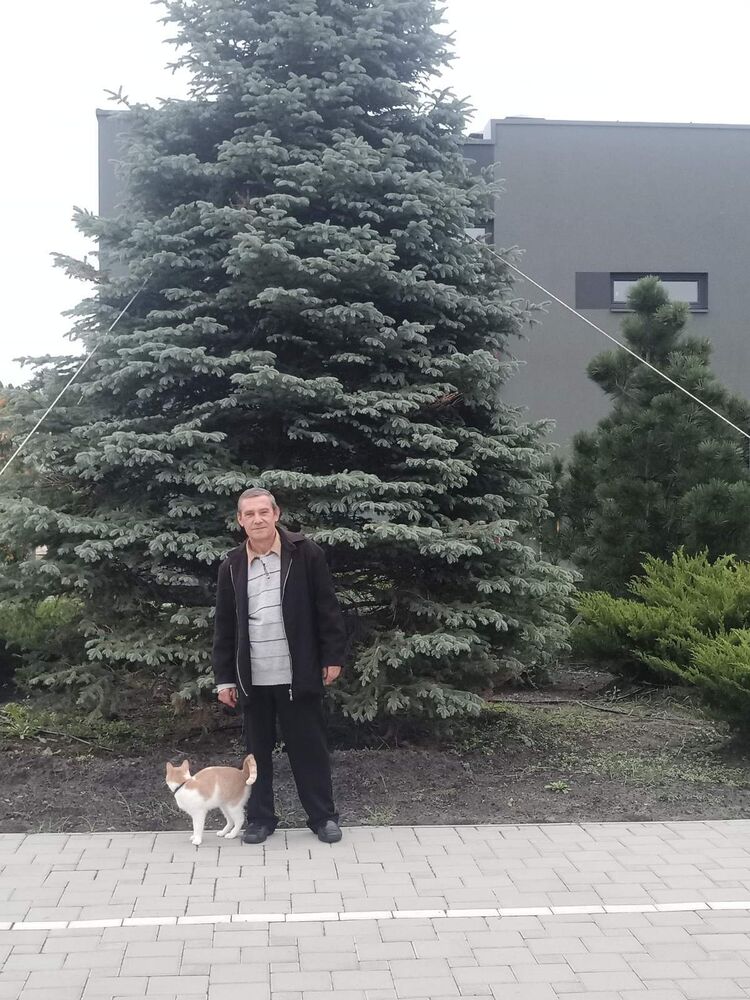 ,   , 55 ,   c 