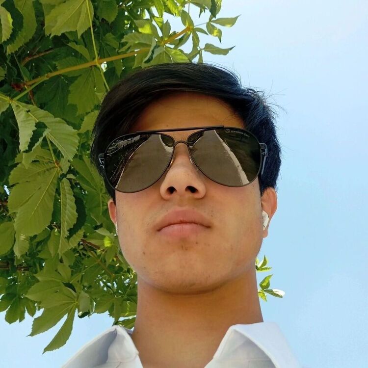  53536973  , 18 ,    -