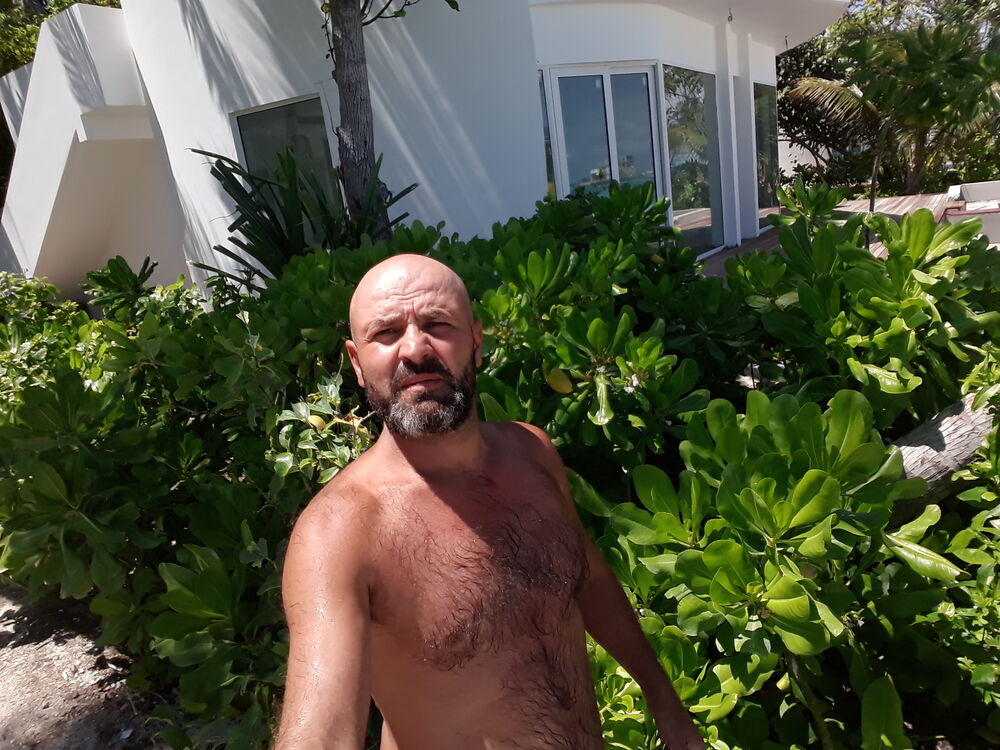 ���������� ������, ���� ������� Salim, 45 ���, ������������ ��� ������, ����� � ���������