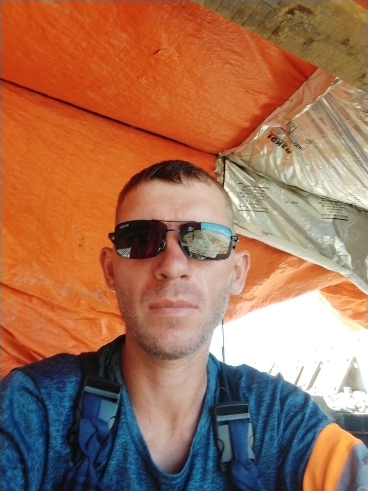  28588713  , 41 ,    