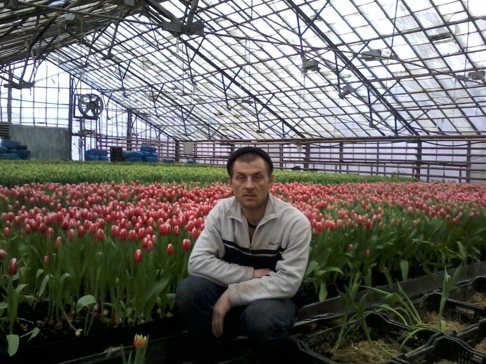 ���������� ����-�������, ���� ������� ������, 45 ���, ������������ ��� ������, ����� � ���������