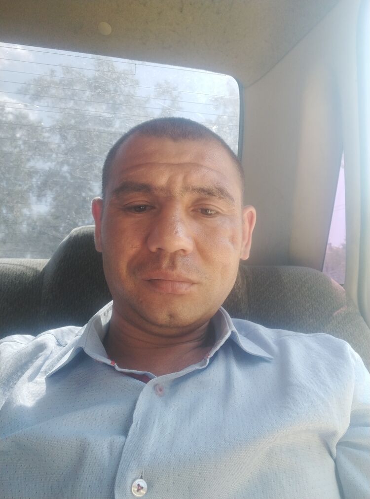  50595393  , 38 ,    