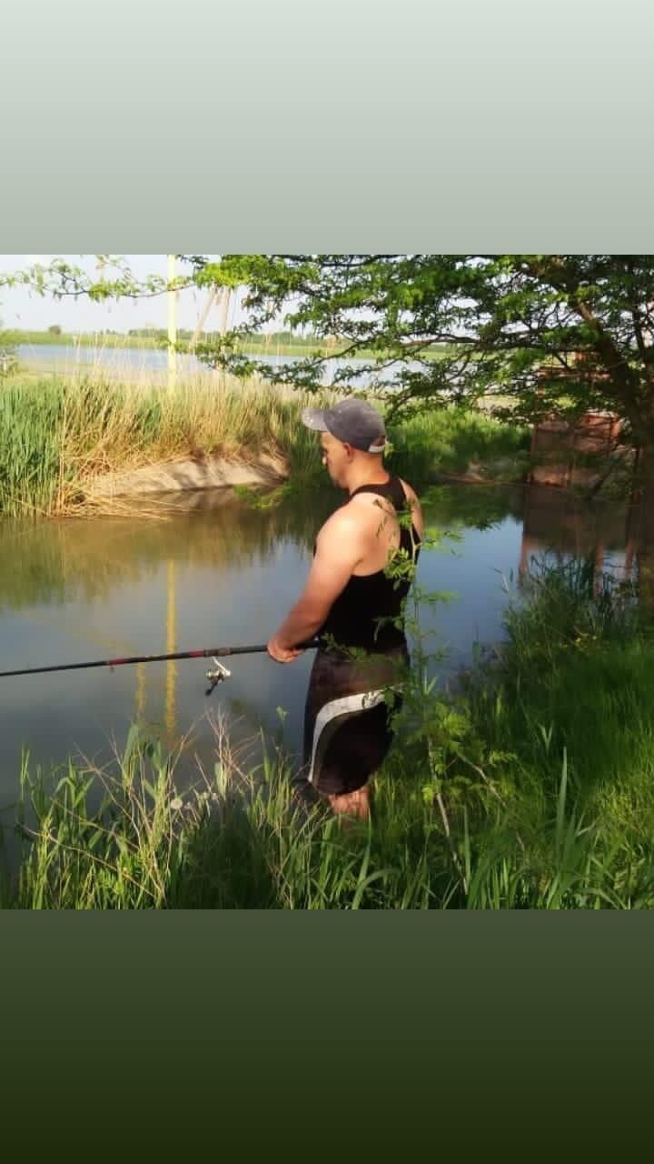 ���� 34031853 ������� �������, 38 ���, ���� ���������� � ����������