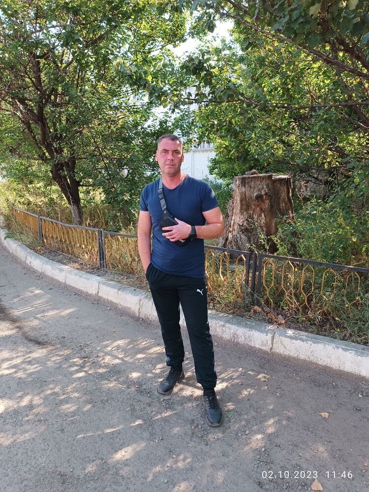 ���� 38195053 ������� ���������, 40 ���, ���� ���������� � ��������