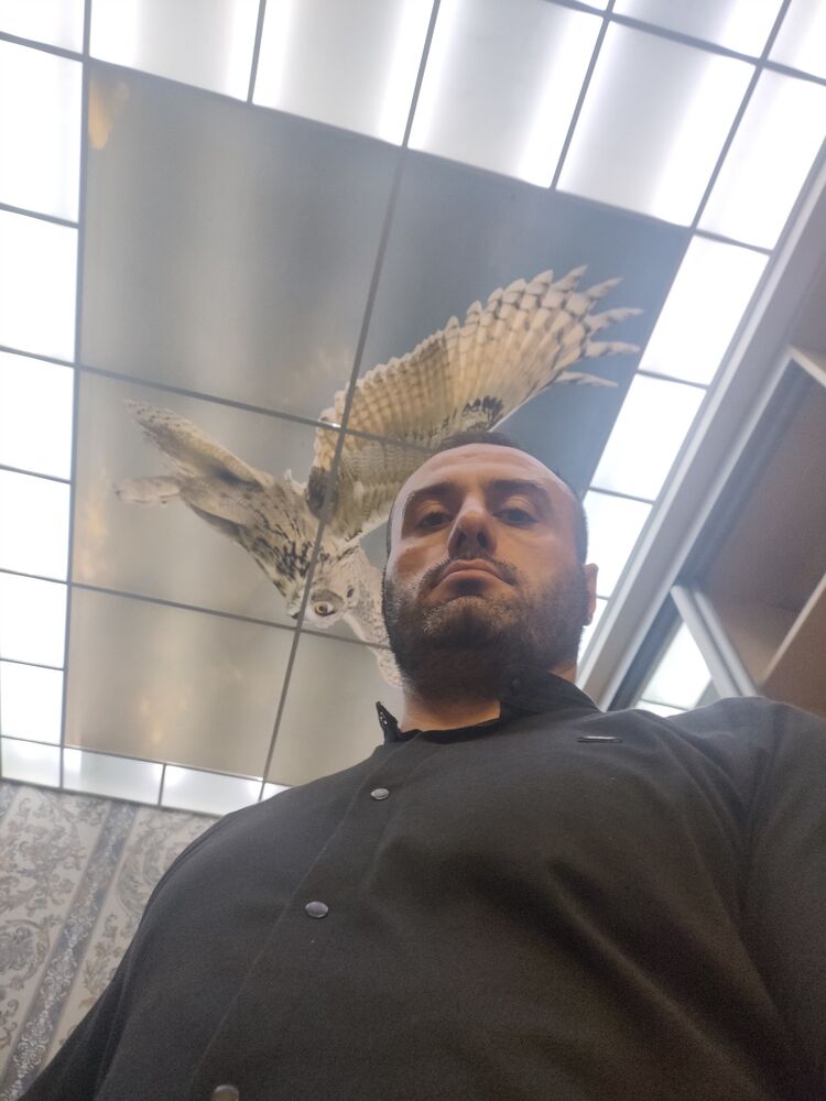 ���� 37461683 ������� �����, 38 ���, ���� ���������� � ������