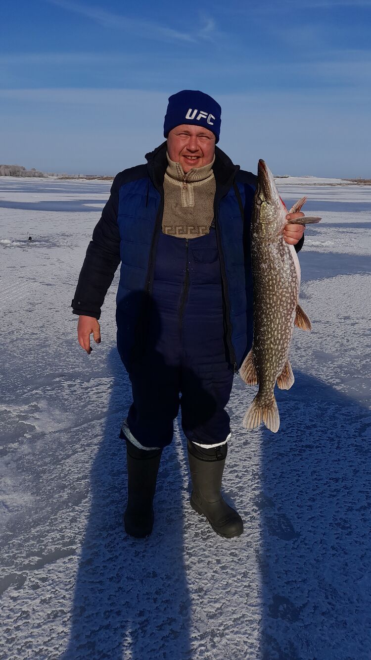 ���� 34372713 ������� ������, 34 ����, ���� ���������� � ������