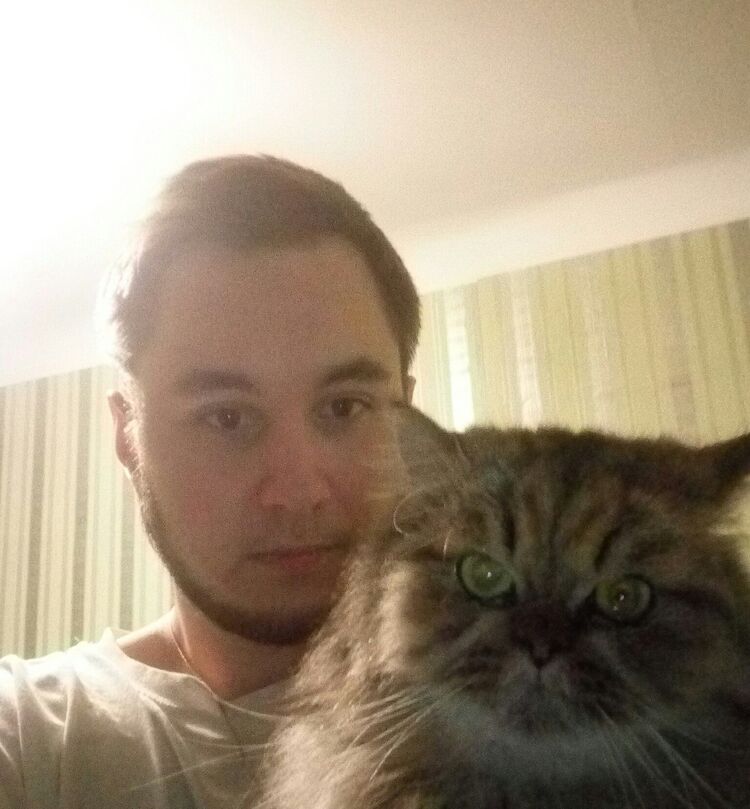 ���������� ����, ���� ������� �������, 29 ���, ������������ ��� ������, ����� � ���������, c�������� ���������, ���������