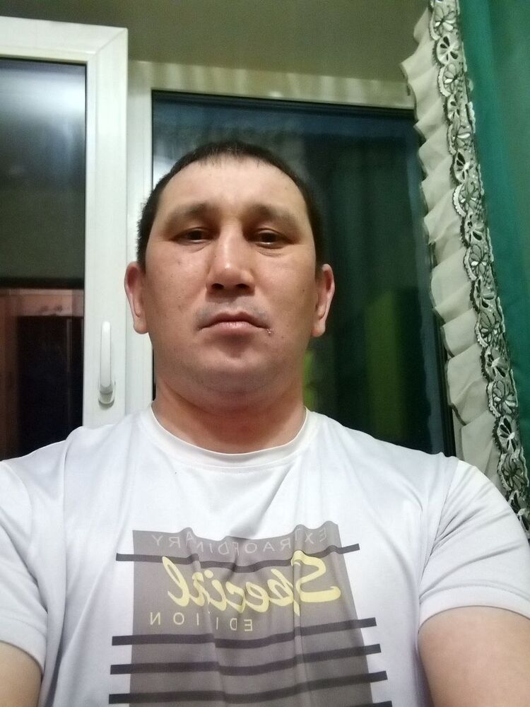  33510933  , 41 ,    -