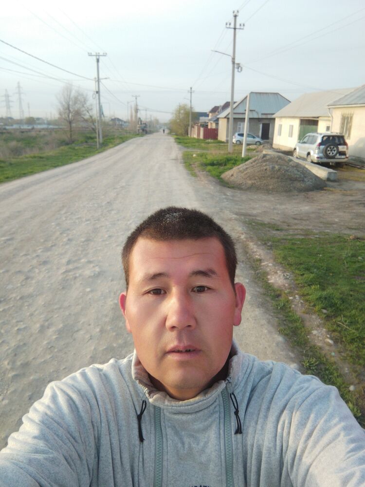  43123753  , 43 ,    