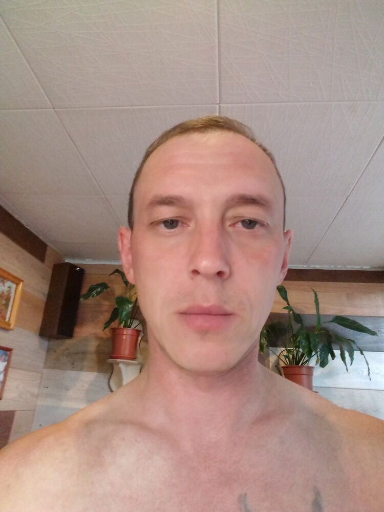  17355793  , 41 ,    