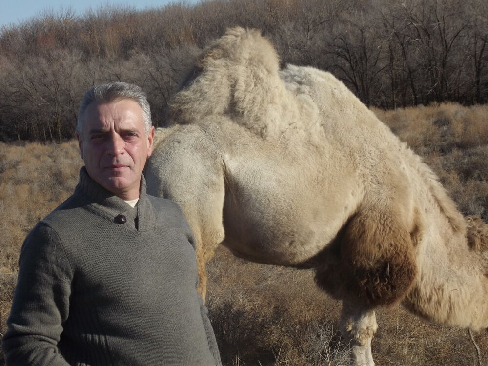  ,   , 57 ,   