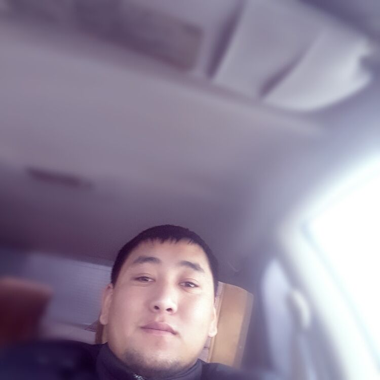 ���� 8841423 ������� ������������, 32 ����, ���� ���������� � �������