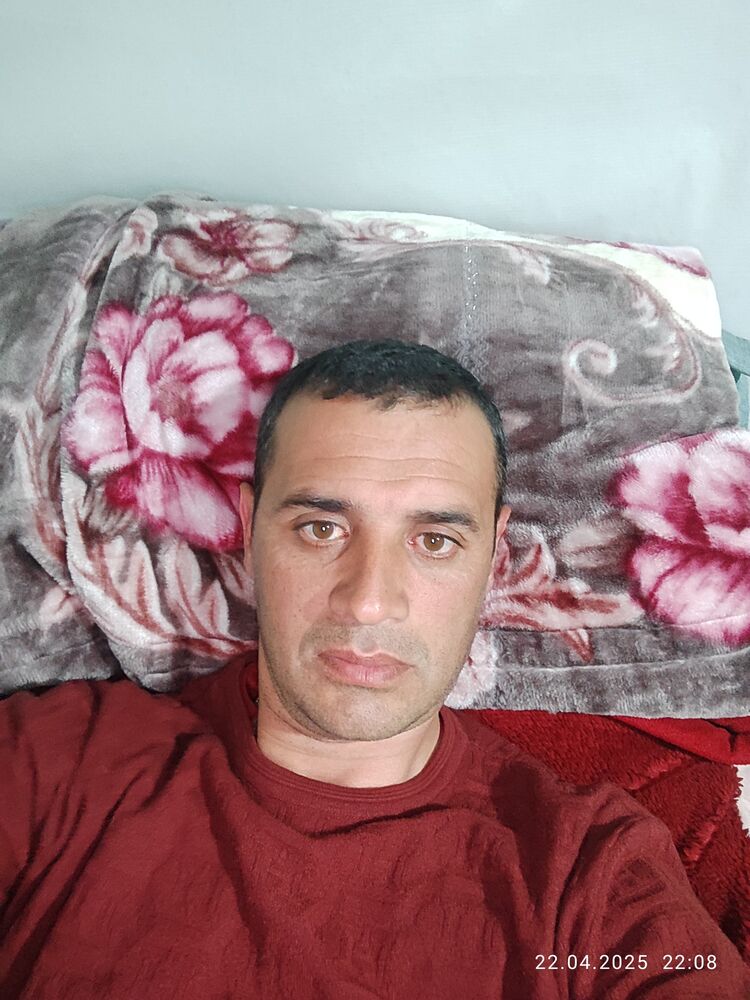  51294193  , 38 ,    