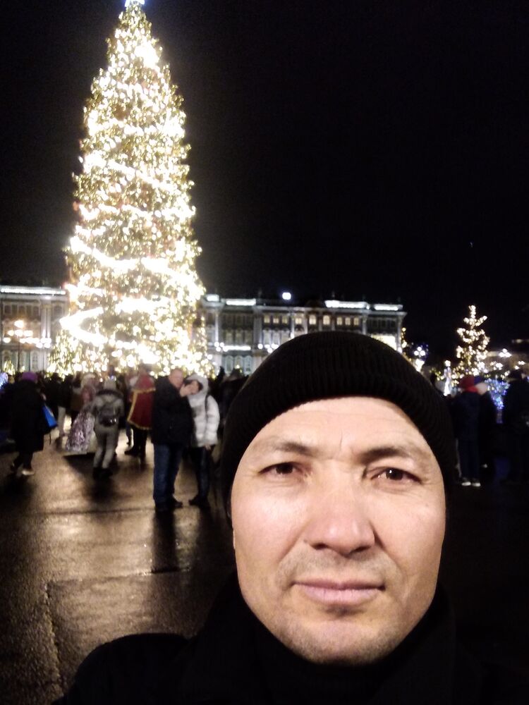  31818183  , 43 ,    -