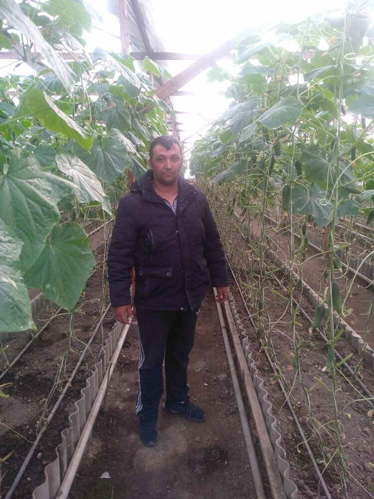 ���� 14057433 ������� ������, 37 ���, ���� ���������� � �������