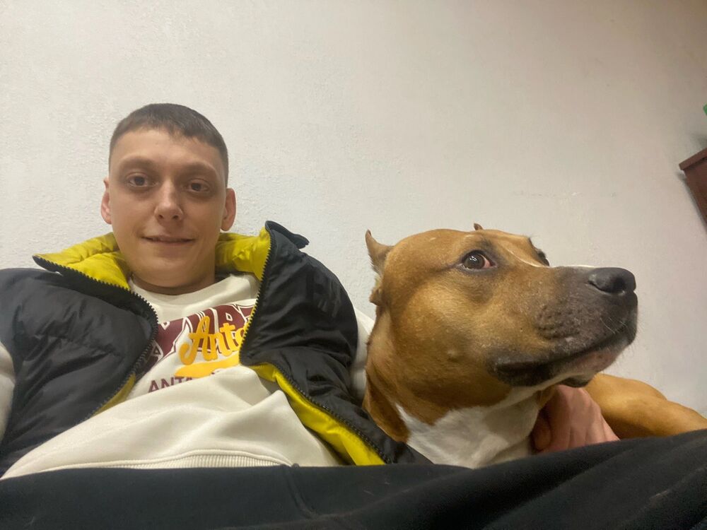 ���� 46556603 ������� ���������, 35 ���, ���� ���������� � �����������