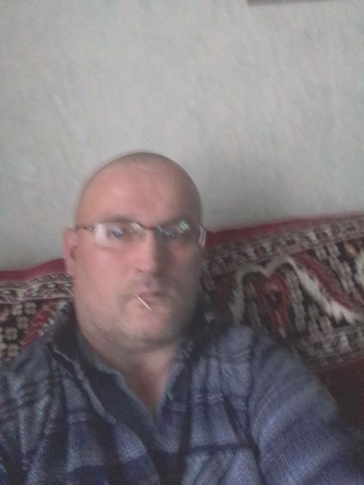  31252543  , 49 ,    -