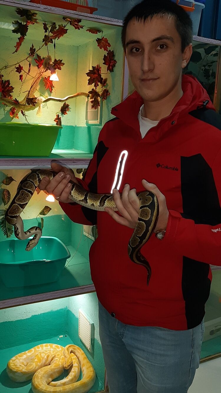 ���� 33463323 ������� ���������, 31 ���, ���� ���������� � �����