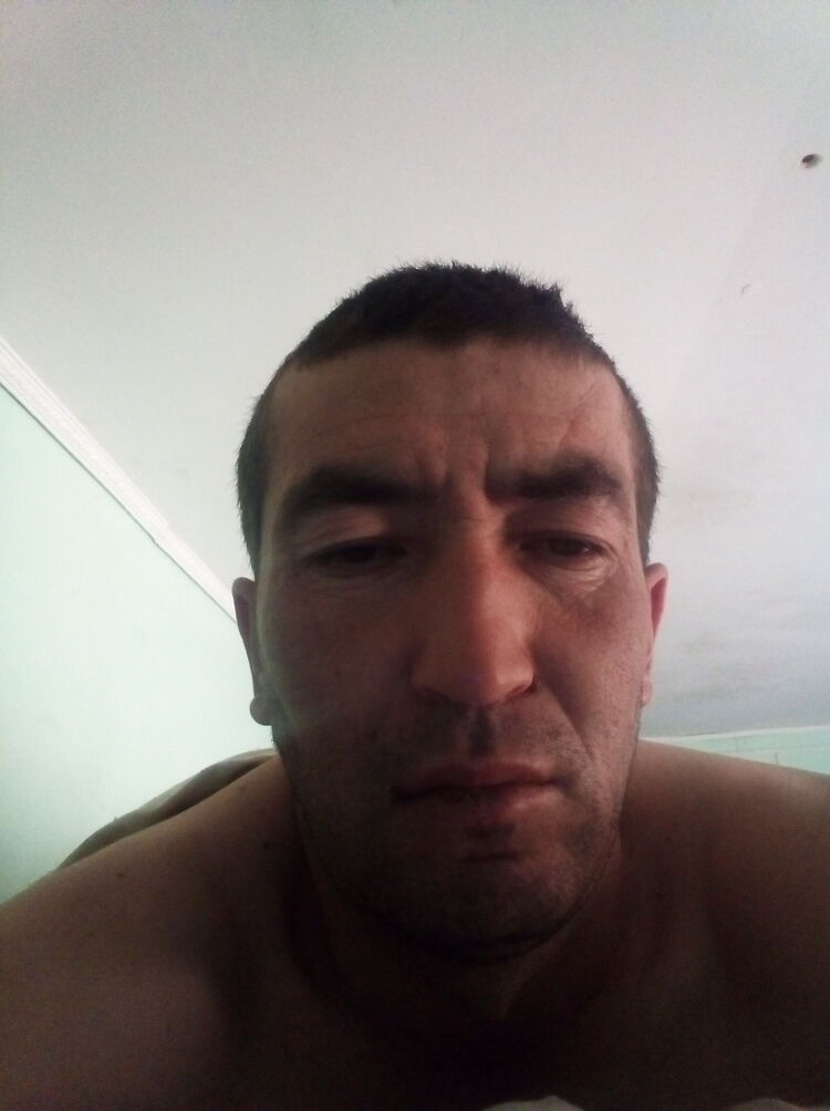  26420323  , 37 ,    