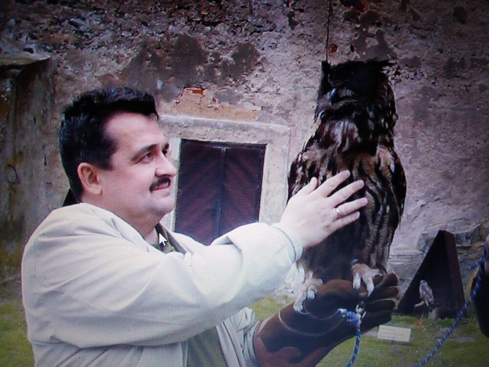 ���������� ������������, ���� ������� ������, 56 ���, ������������ ��� ����� � ���������, c�������� ���������