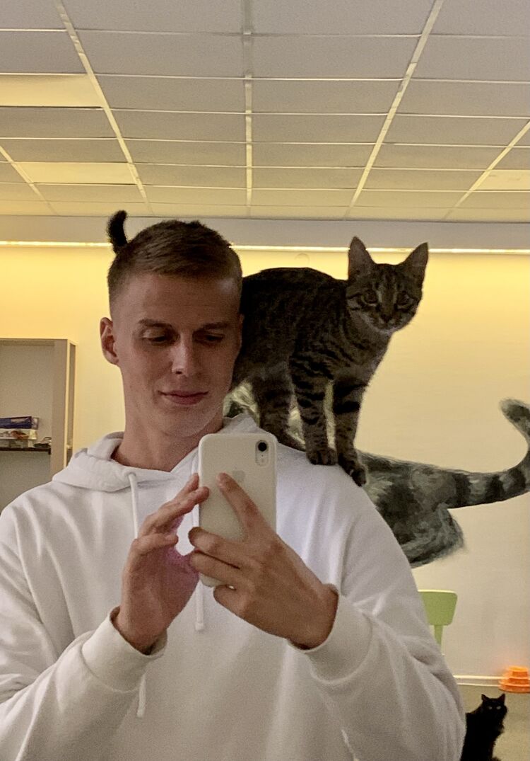 ���������� ������, ���� ������� �������, 27 ���, ������������ ��� ������, ����� � ���������