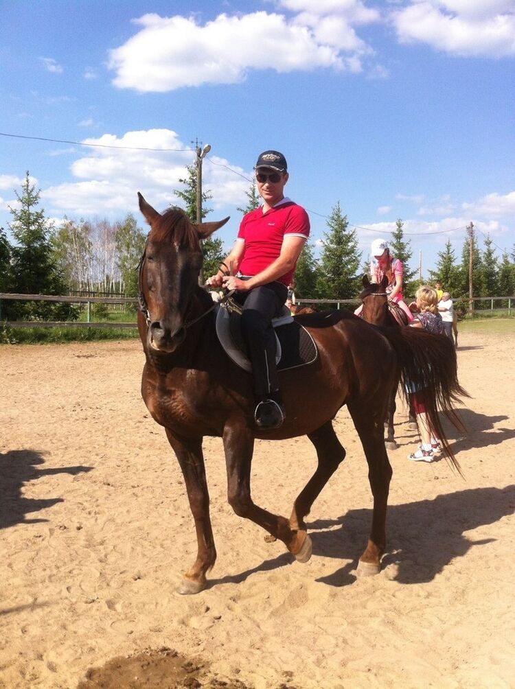 ���� 15176173 ������� ���������, 48 ���, ���� ���������� � ������ ���������