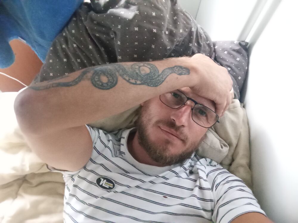 45640283  , 31 ,    