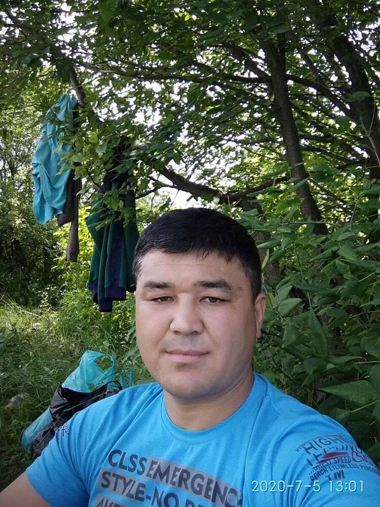  20384043  , 40 ,    