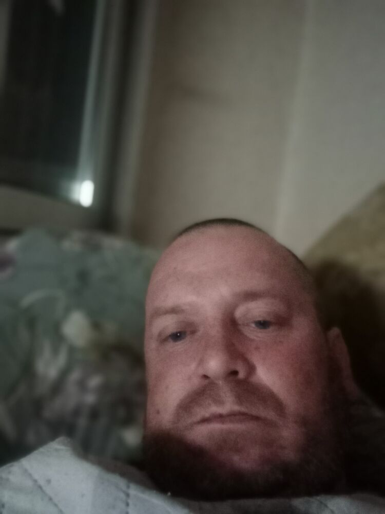  50942923  , 46 ,    