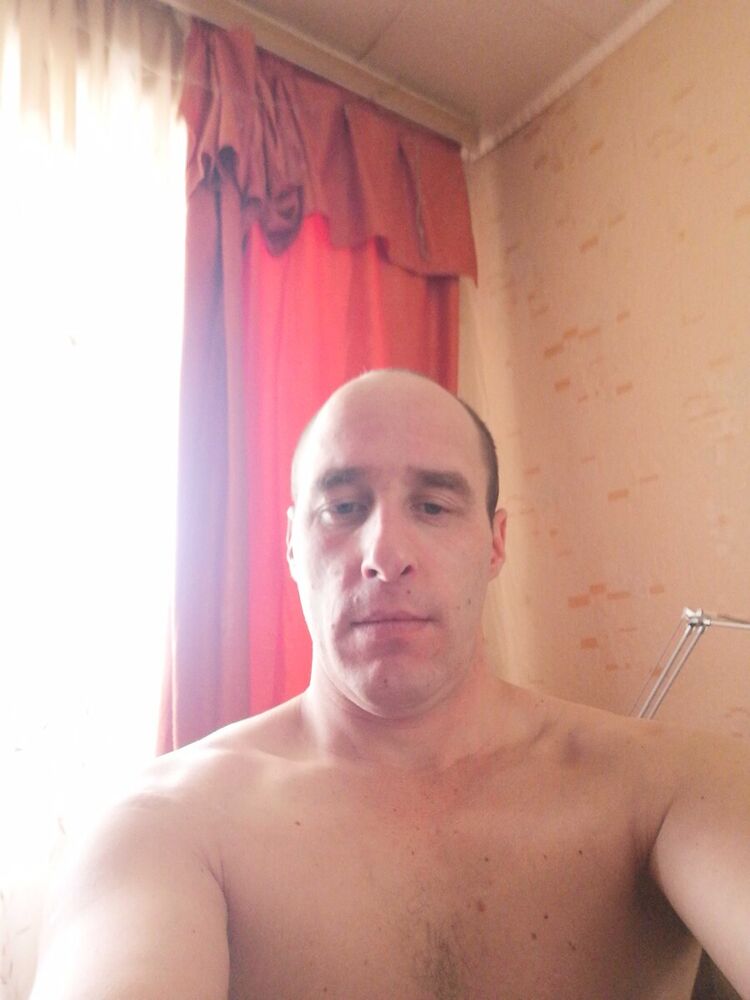  20431483  , 43 ,    