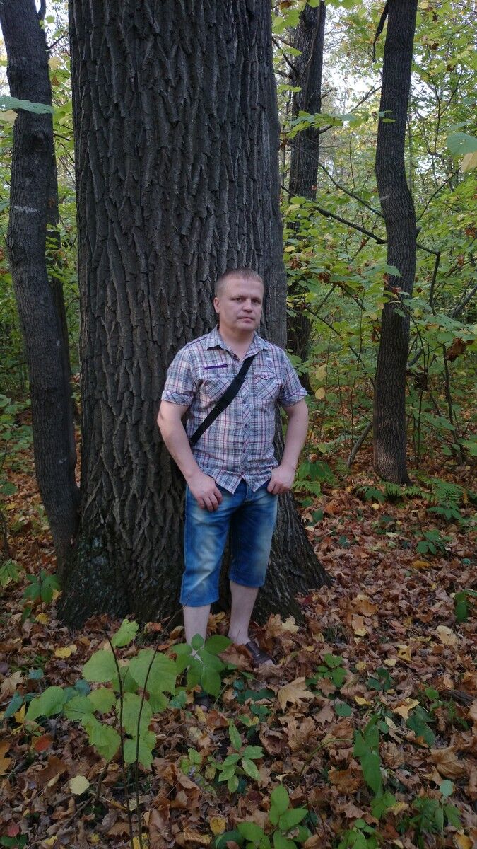  11480753  , 43 ,    
