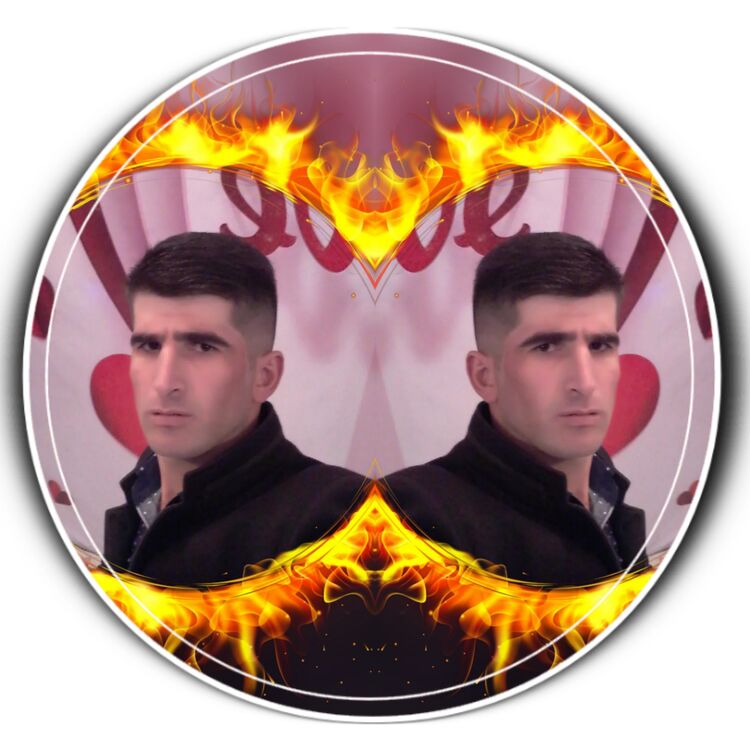 ���� 37565033 ������� ����, 31 ���, ���� ���������� � ������