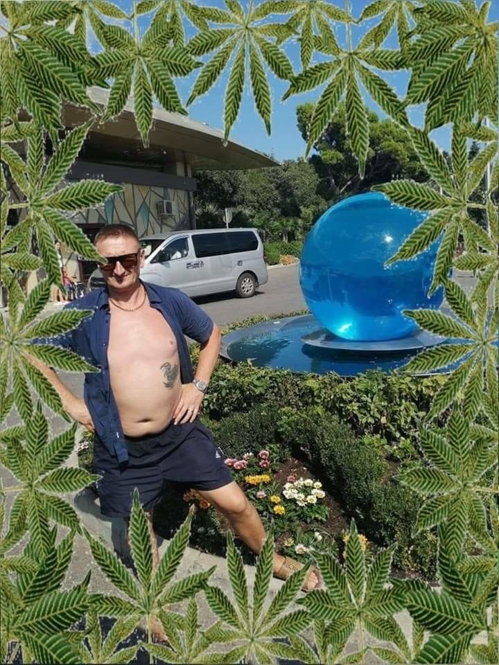  17855423  IGOR, 50 ,    