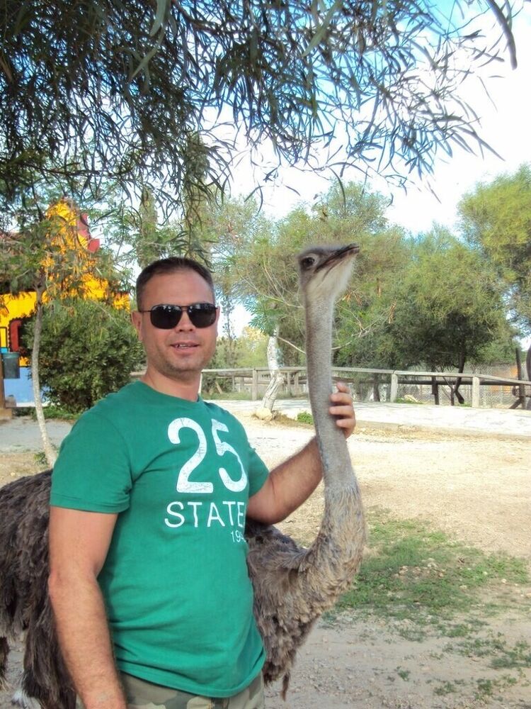  26597973  , 49 ,    -