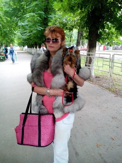 ���������� �����, ���� ������� ������, 40 ���, ������������ ��� ����� � ���������, c�������� ���������