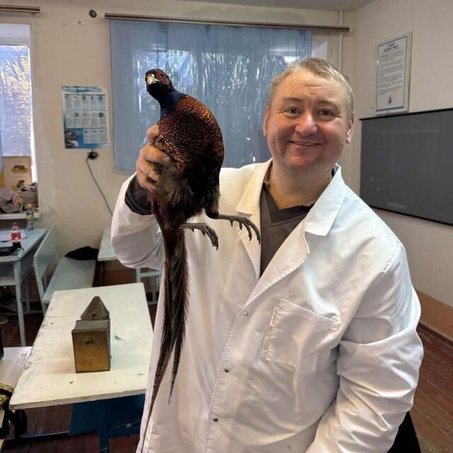 ���������� �����, ���� ������� ��������, 40 ���, ������������ ��� ������, ����� � ���������, c�������� ���������, ���������