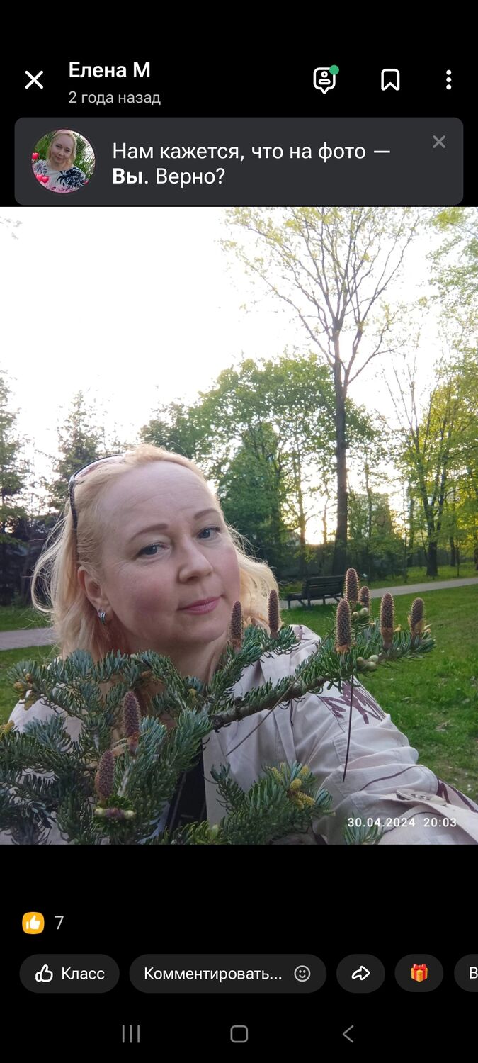 ���������� �����, ���� ������� ������, 52 ����, ������������ ��� c�������� ���������