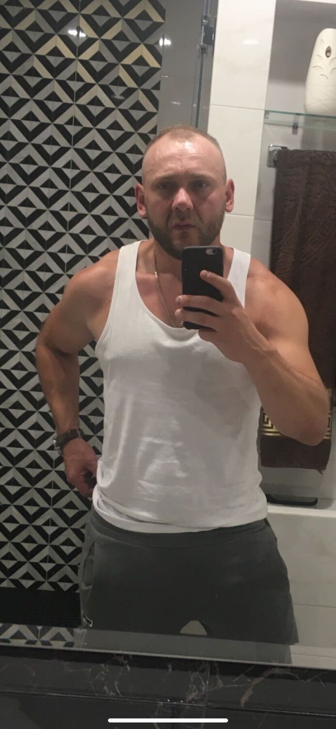  53135313  , 41 ,    -