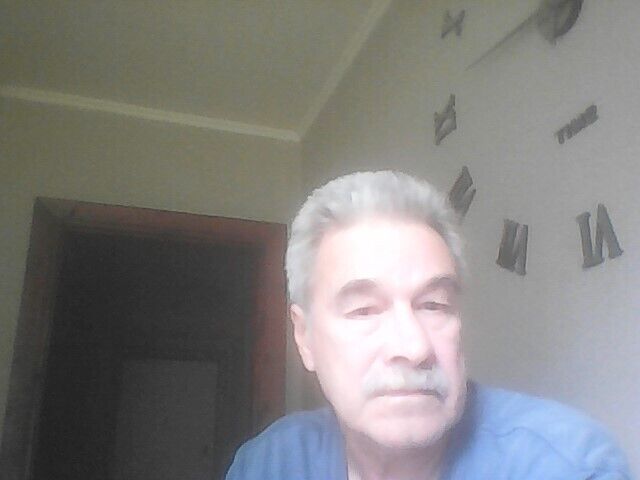  53297543  , 65 ,    
