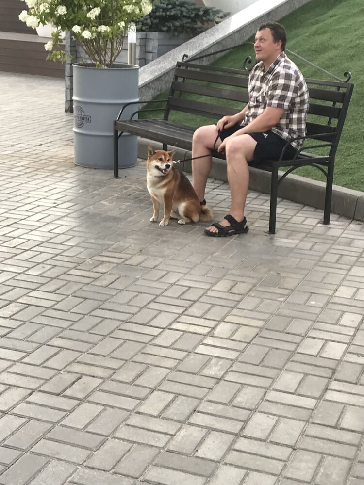 ���� 41073383 ����� ����, 22 ����, ���� ���������� � ������