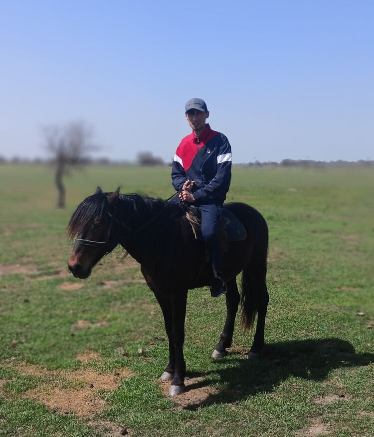 ���������� ��������, ���� ������� �����, 34 ����, ������������ ��� ������, ����� � ���������, c�������� ���������, ���������