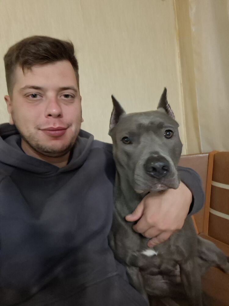  52887853  Mihonday, 28 ,    