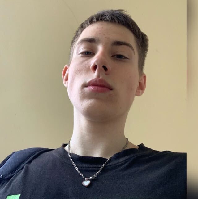  33947213  , 22 ,    