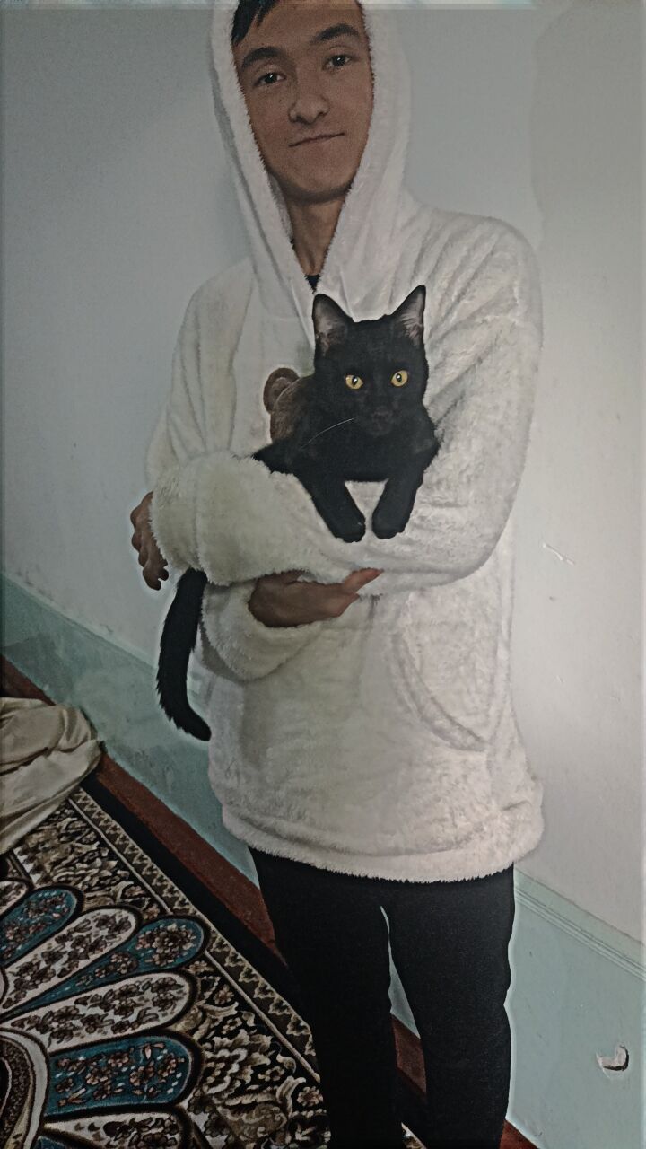 ���� 54976273 ����� Alif, 20 ���, ���� ���������� � ��������