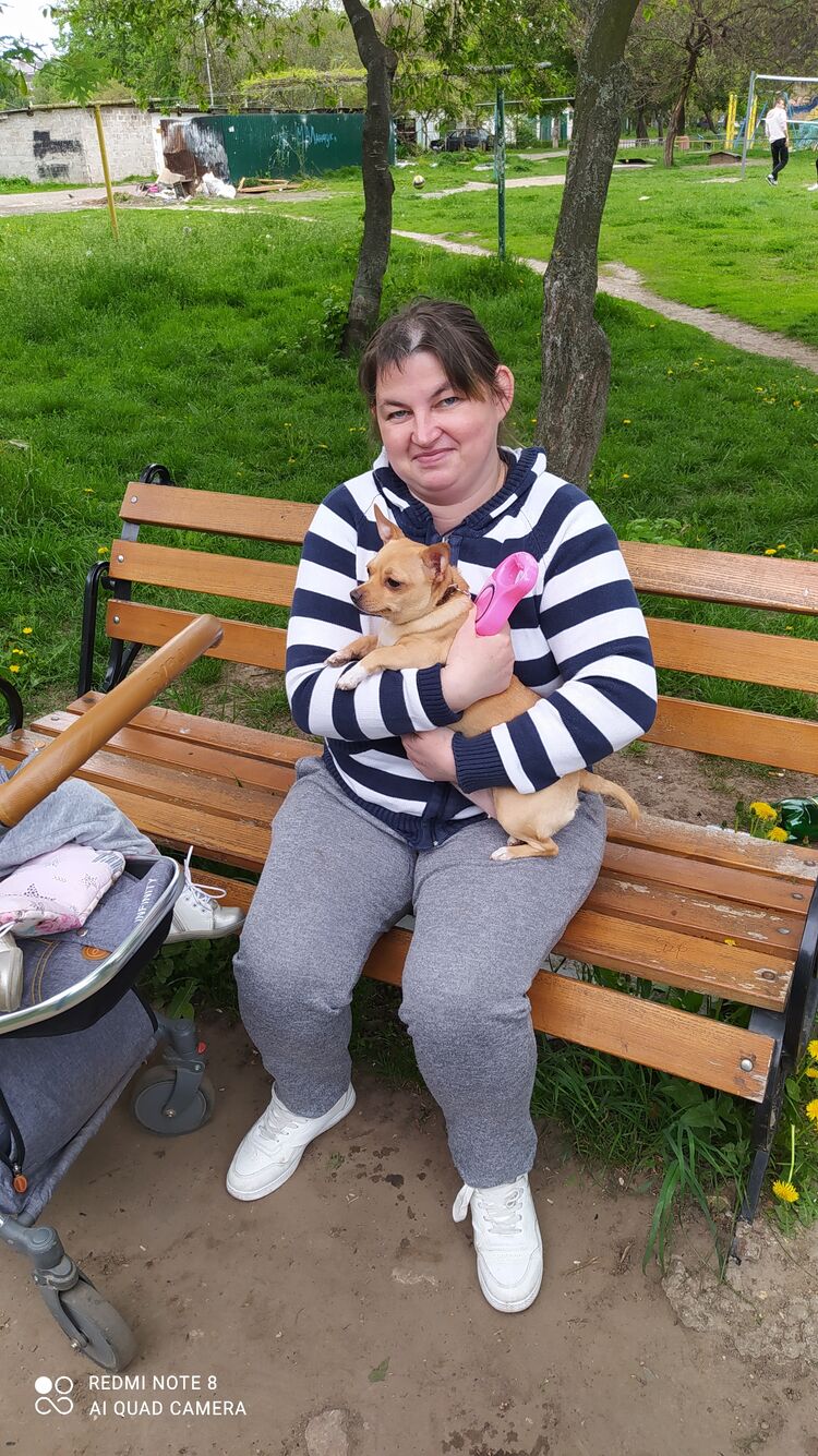 ���� 26583383 ������� ���, 40 ���, ���� ���������� � �����