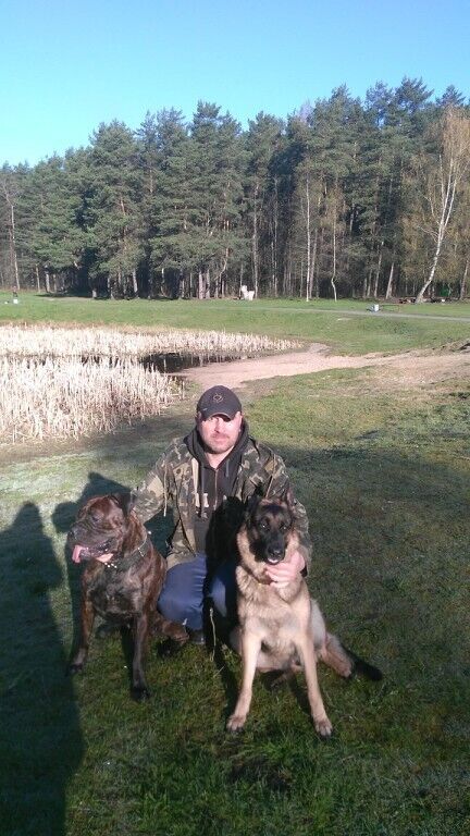 ���������� �����, ���� ������� ����������, 59 ���, ������������ ��� ������, ����� � ���������